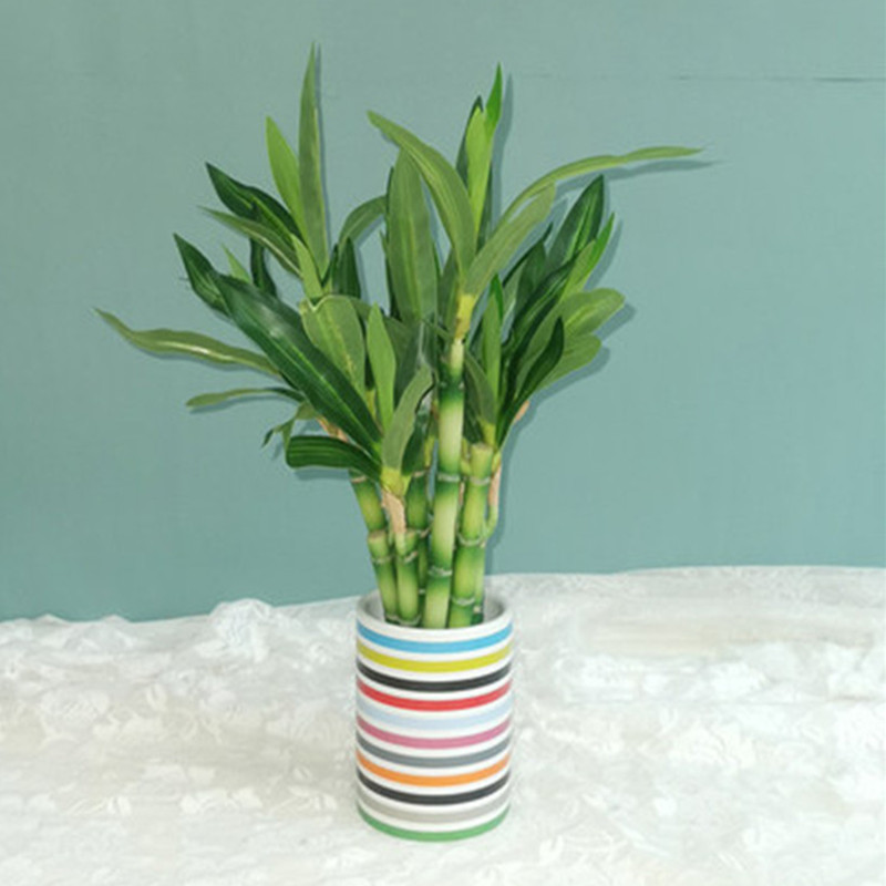 New 40cm rFtificial Lucky Bamb - Outdoor Furniture Green 리뷰 및 가격